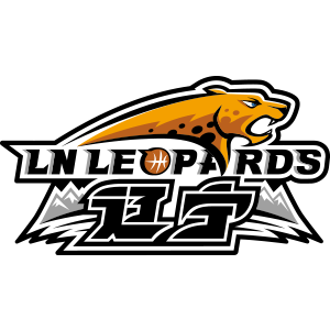 辽宁logo